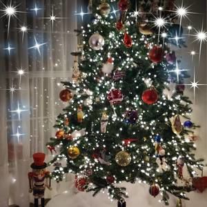 Meet your Posher, Beverly